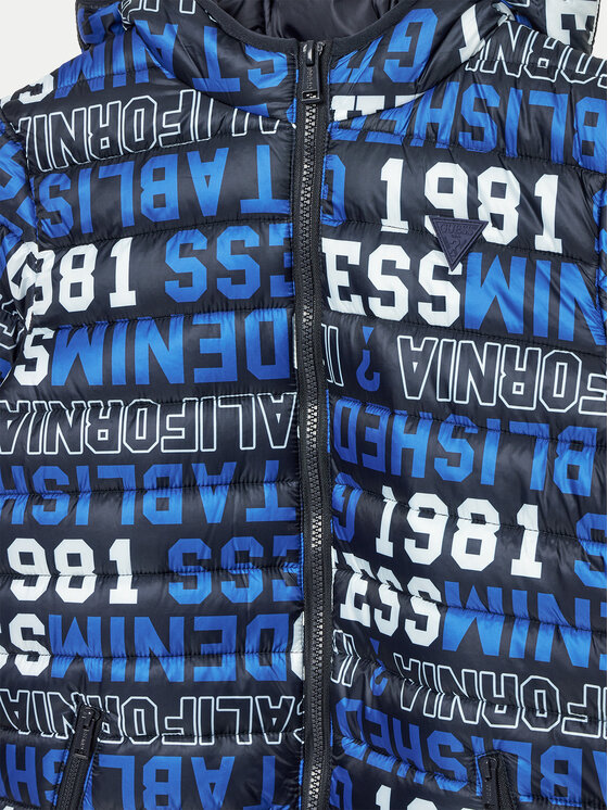 Guess Guess Kevad-sügis jope L4YL05 WB310 Värviline Regular Fit