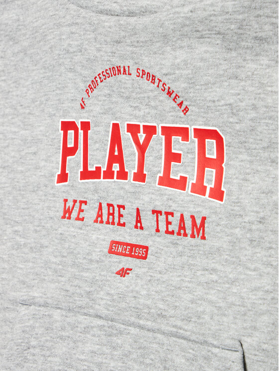 4F 4F Bluza HJZ22-JBLM006 Szary Regular Fit