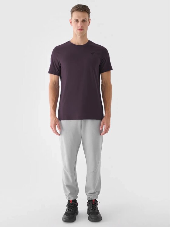 4F 4F Tričko 4FWSS25TTSHM3096-50S Fialová Regular Fit