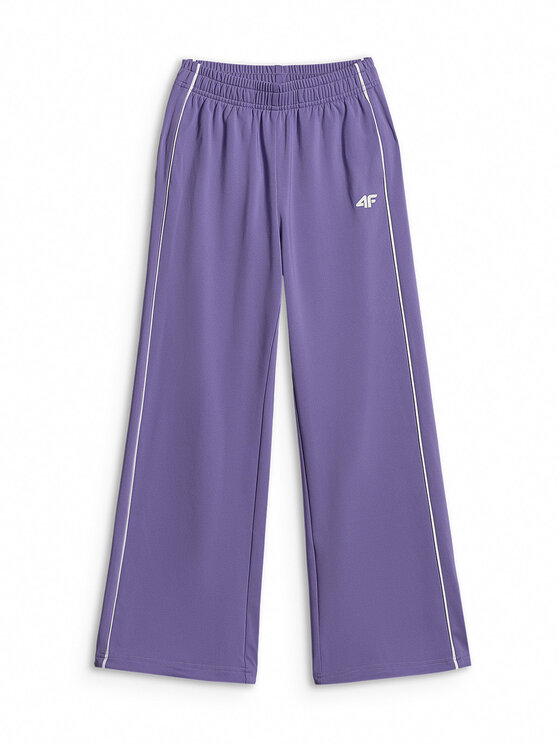 4F 4F Spodnie dresowe AQUA FORCE Fioletowy Regular Fit