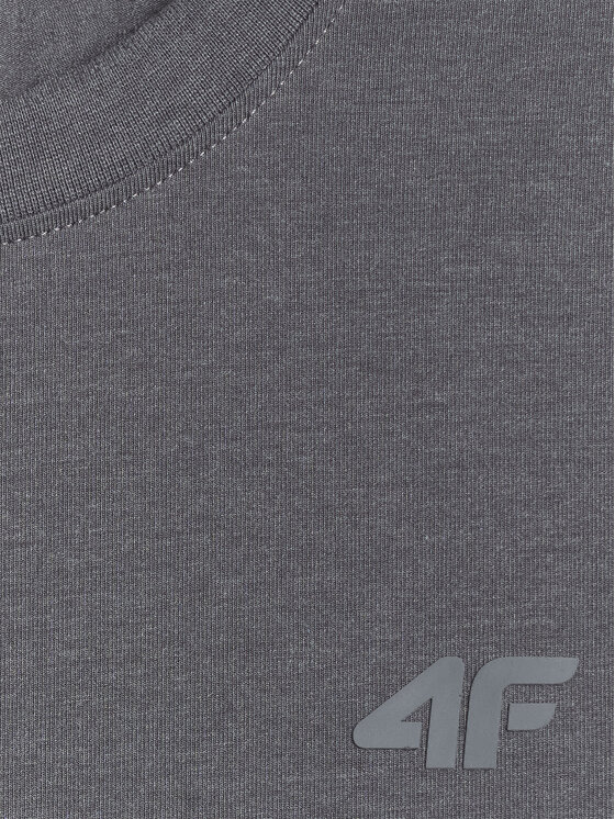 4F 4F T-Shirt ESSENTIAL 2 Kolorowy Regular Fit