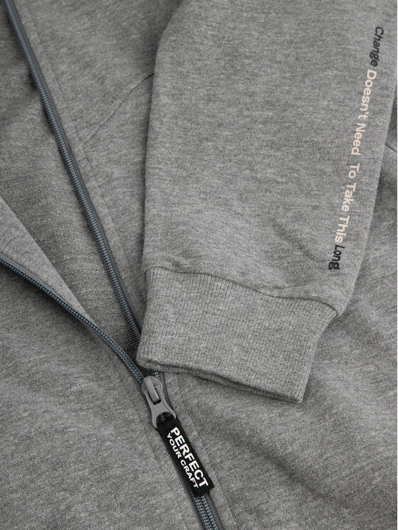 Coccodrillo Coccodrillo Felpa WC4132401VBA Grigio Regular Fit