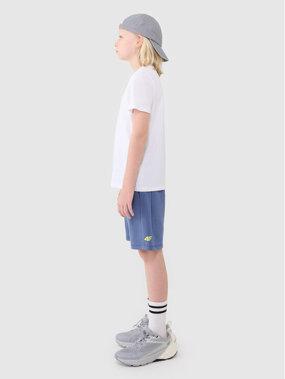 4F 4F Szorty sportowe BASIC+ Niebieski Regular Fit