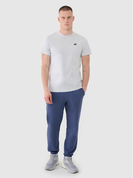 4F 4F T-Shirt 4FWMM00TTSHM2256-27M Szary Regular Fit