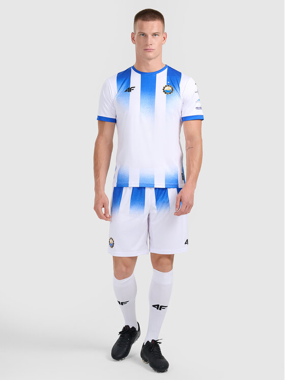 4F 4F Koszulka techniczna TEAMWEAR Kolorowy Regular Fit