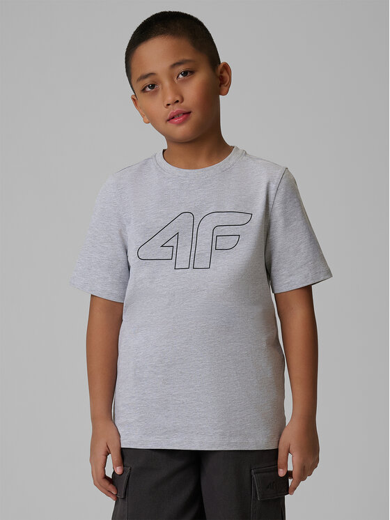 4F 4F T-Shirt BASIC+ Szary Regular Fit