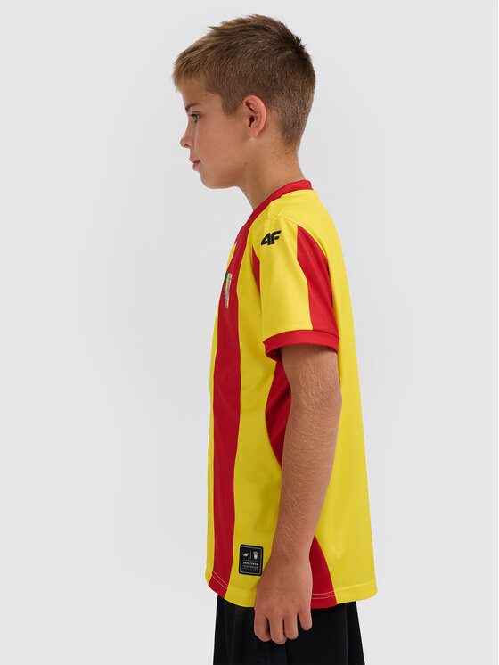 4F 4F Koszulka techniczna TEAMWEAR Kolorowy Regular Fit