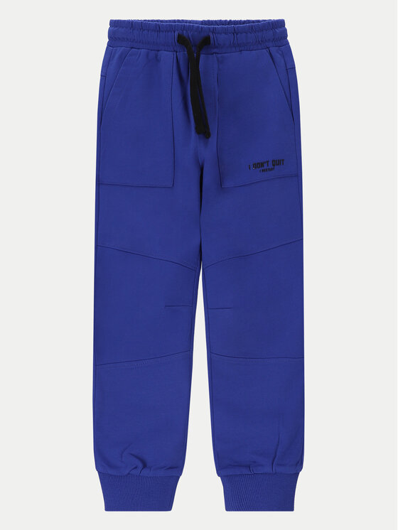 Coccodrillo Coccodrillo Sportinės kelnės WC4120103GBK Mėlyna Slim Fit