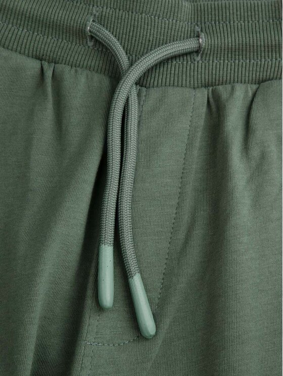 Coccodrillo Coccodrillo Pantaloni scurți sport WC5121501VBC Verde Regular Fit
