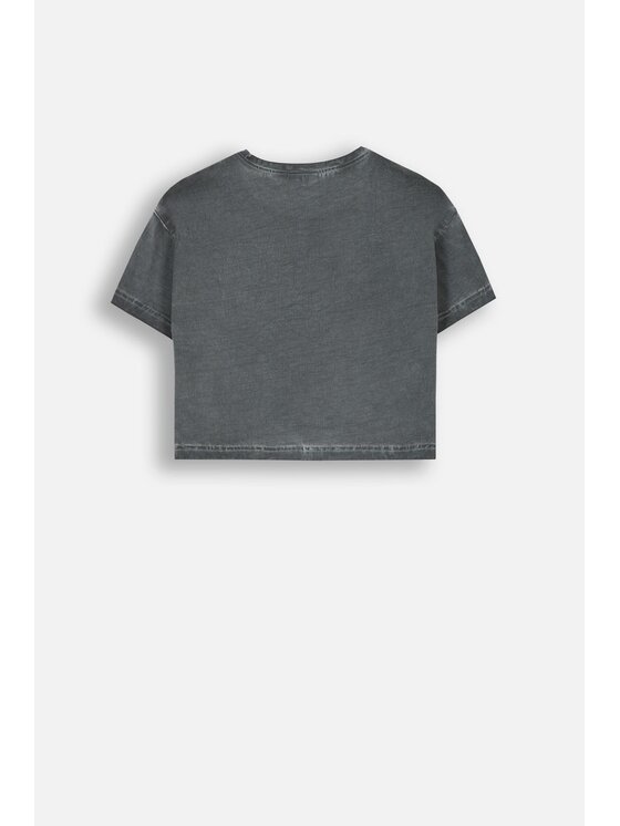 Coccodrillo Coccodrillo T-Shirt ZC4143211LGD-019 Szary Regular Fit