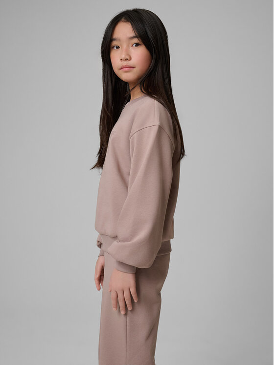 4F 4F Bluza BASIC+ Beżowy Regular Fit