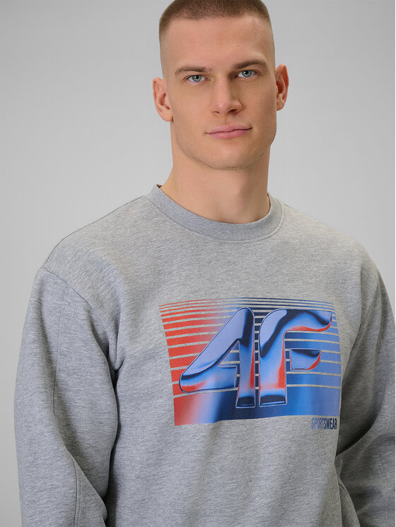 4F 4F Bluza WINTER CODE Szary jasny Regular Fit