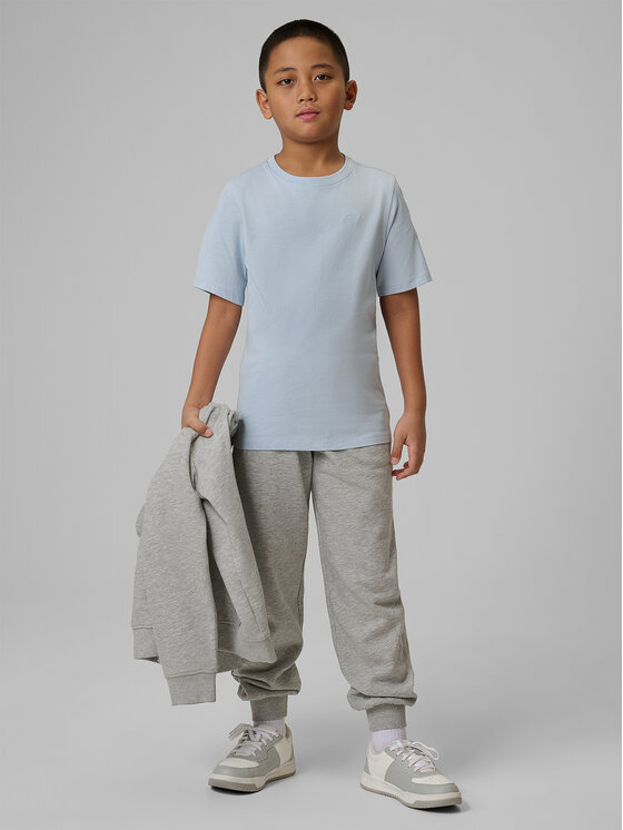4F 4F Spodnie dresowe NOS Szary Regular Fit