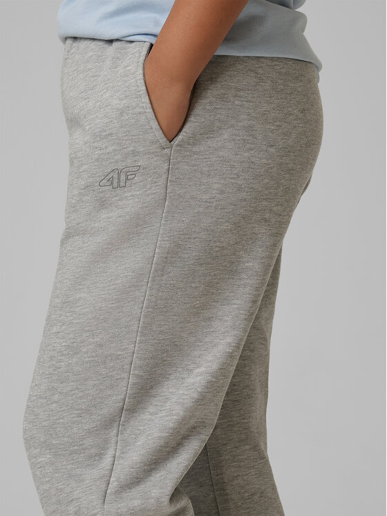 4F 4F Spodnie dresowe NOS Szary Regular Fit