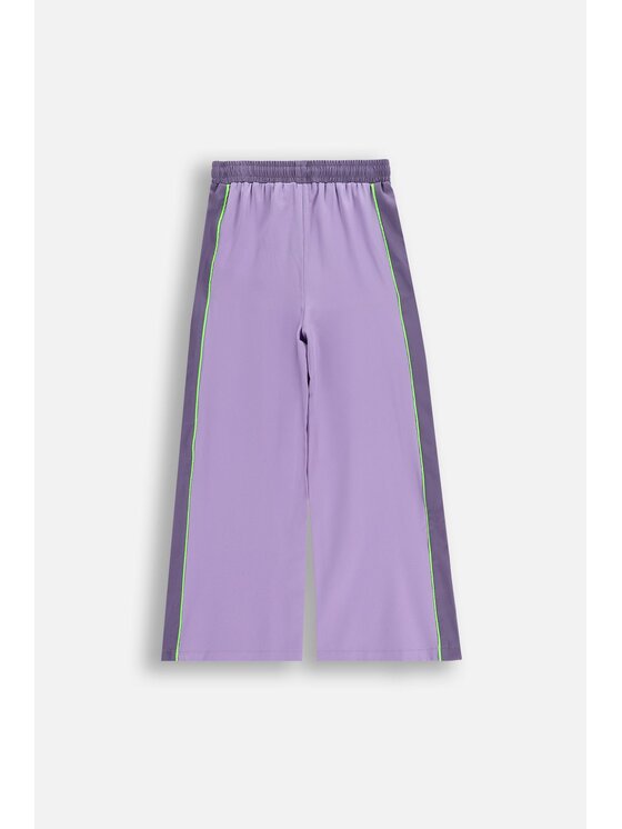 Lemon Explore Lemon Explore Spodnie dresowe WL6119101ACG-016 Fioletowy Regular Fit
