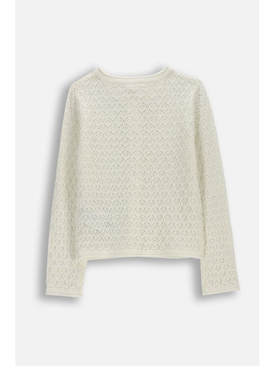 Coccodrillo Coccodrillo Sweter WC6172202CSG-003 Écru Regular Fit