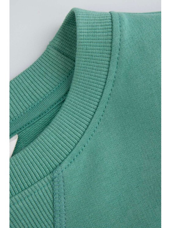 Coccodrillo Coccodrillo Mikina WC6132101VBA-011 Zelená Regular Fit