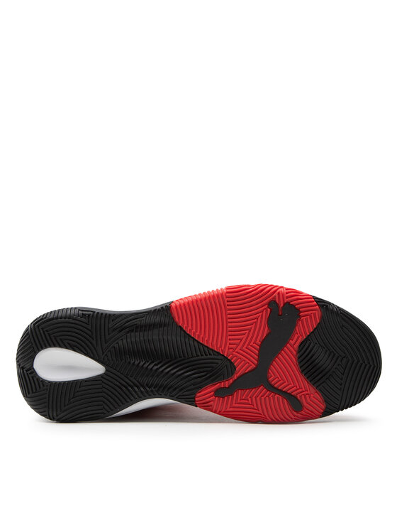 Puma evo 2025 shoes