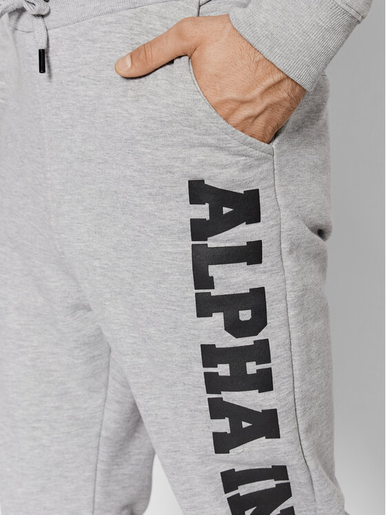 Alpha Industries Alpha Industries Spodnie dresowe Big Letters 126343 Szary Regular Fit