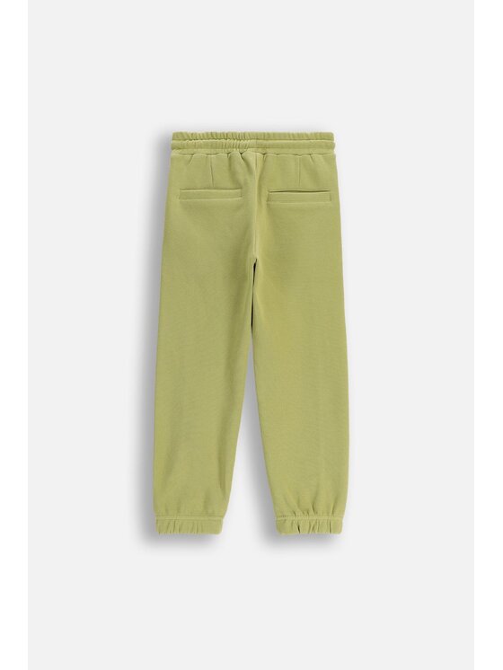 Coccodrillo Coccodrillo Spodnie dresowe ZC5120103ABK-012 Zielony Regular Fit