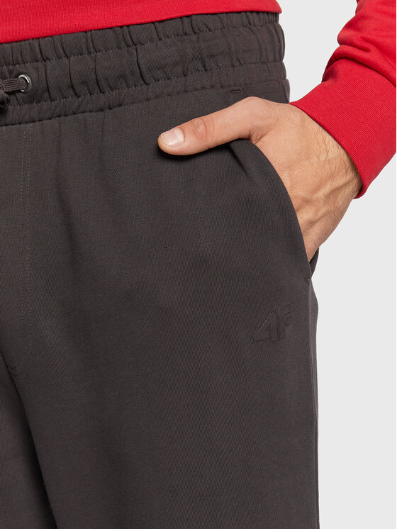 4F 4F Spodnie dresowe H4Z22-SPMD012 Szary Regular Fit