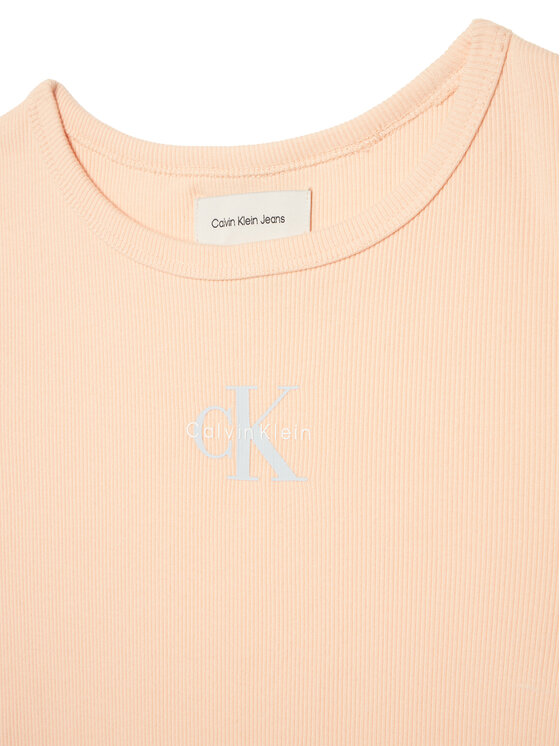 Calvin Klein Jeans Calvin Klein Jeans T-shirt Monologo LVCKSJB11G Svijetlo narančasta Regular Fit