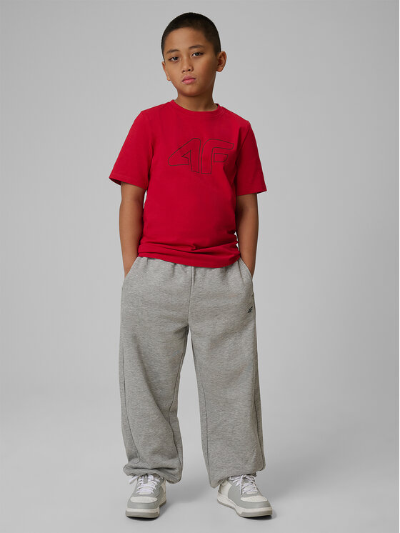 4F 4F T-Shirt BASIC+ Červená Regular Fit
