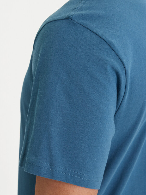Billabong Billabong T-Shirt Arch Frame EBYZT00341 Niebieski Regular Fit