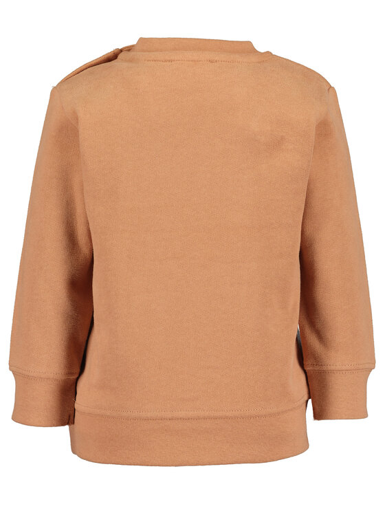 Blue Seven Blue Seven Sweatshirt 984102 X Braun Regular Fit