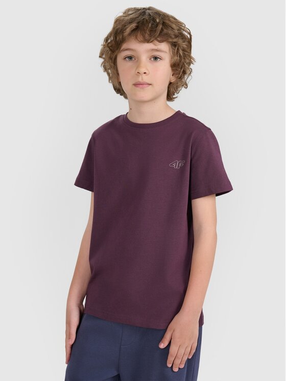 4F 4F T-shirt 4FJRAW25TTSHU3157-92S Multicolore Regular Fit