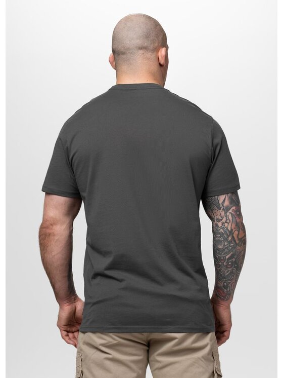 PITBULL PITBULL T-Shirt PALMS Szary Regular Fit