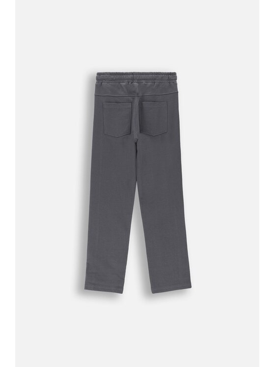 Coccodrillo Coccodrillo Spodnie dresowe ZC4120104ABJ-020 Szary Slim Fit