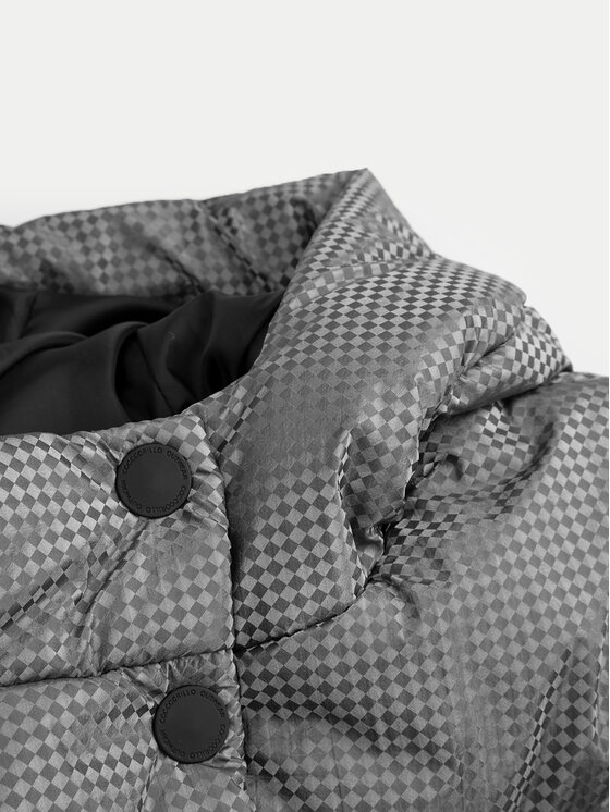 Coccodrillo Coccodrillo Kurtka zimowa ZC4152107OGK Srebrny Regular Fit