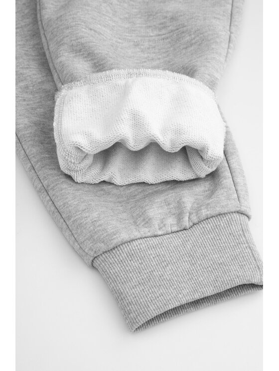Coccodrillo Coccodrillo Spodnie dresowe ZC5120101ABJ-019 Szary Regular Fit