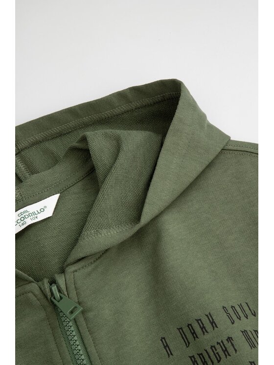 Coccodrillo Coccodrillo Mikina ZC6132401RBJ-027 Khaki Regular Fit