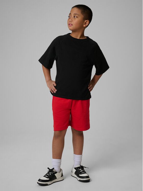 4F 4F Szorty sportowe BASIC+ Czerwony Regular Fit