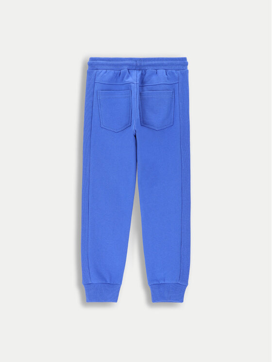 Coccodrillo Coccodrillo Jogginghose ZC4120203FBK Blau Regular Fit