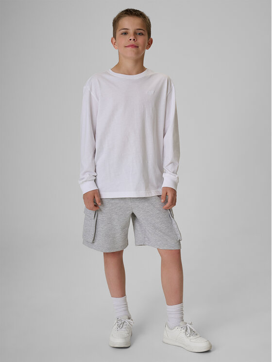 4F 4F Szorty sportowe COMMUNITY SPORTS Szary Regular Fit