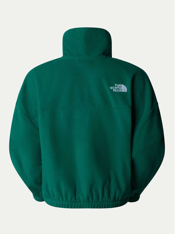 The North Face The North Face Polar Glacier NF0A89J9 Zielony Regular Fit