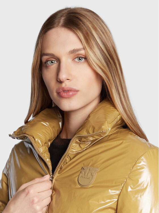 PINKO PINKO Zimska jakna Irene 1G1809 A00N Smeđa Regular Fit