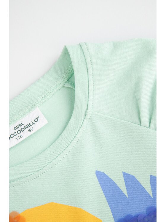 Coccodrillo Coccodrillo T-Shirt WC5143202TGK-011 Zielony Regular Fit