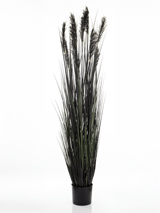 LE POSSÉ LE POSSÉ Fiori artificiali BFG Nero