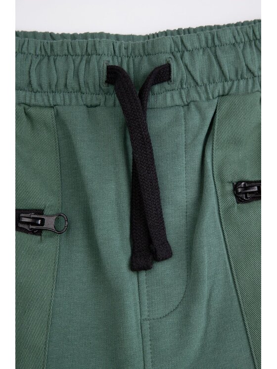 Coccodrillo Coccodrillo Шорти WC5120501WBJ-011 Зелений Regular Fit