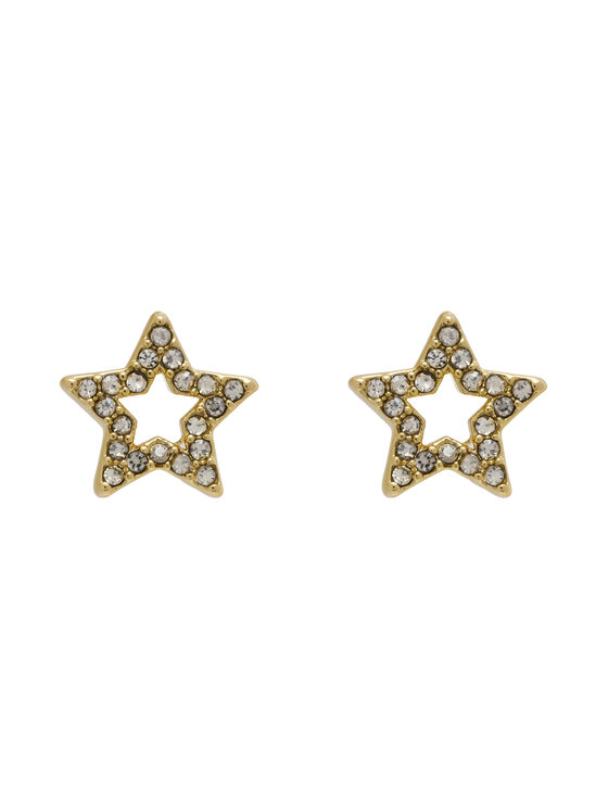 Coach Coach Ohrringe 37423841 Goldfarben