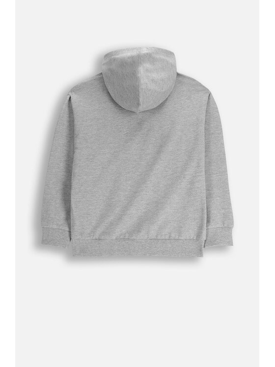 Coccodrillo Coccodrillo Mikina ZC5132401VBA-019 Šedá Regular Fit