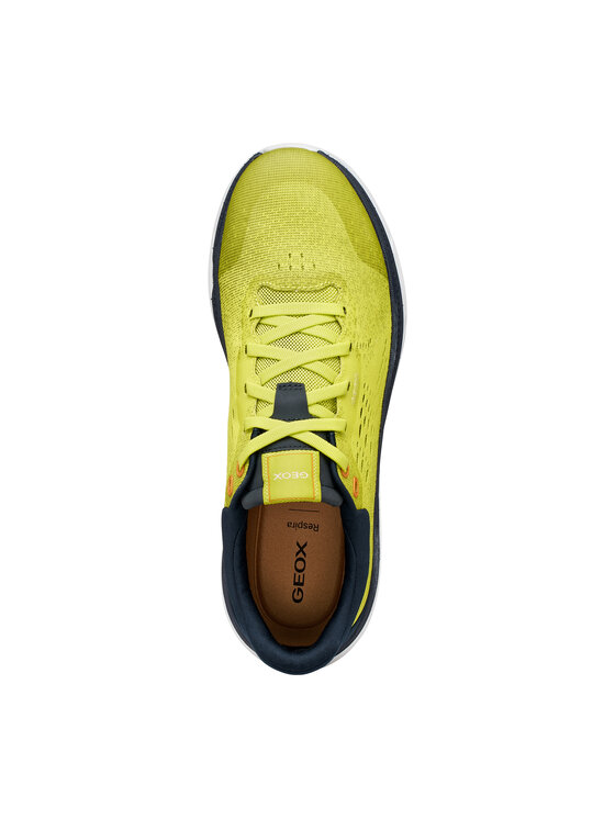 Geox Geox Sneakers U Spherica Actif X1 U65HUB 0006K C3SF4 Verde