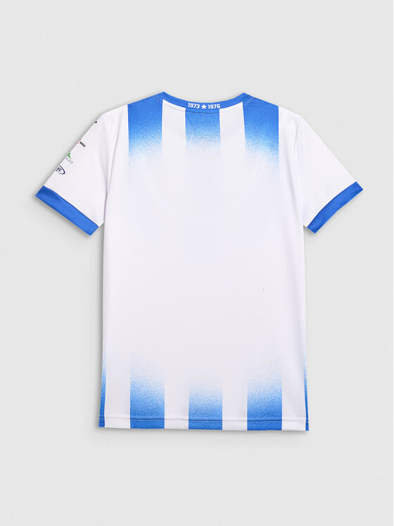 4F 4F Koszulka techniczna TEAMWEAR Kolorowy Regular Fit