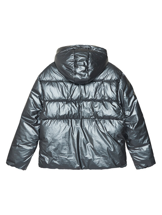 4F 4F Télikabát 4FJAW23TDJAF267 Ezüst Regular Fit