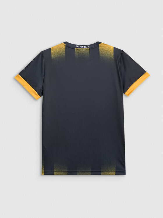 4F 4F Koszulka techniczna TEAMWEAR Kolorowy Regular Fit