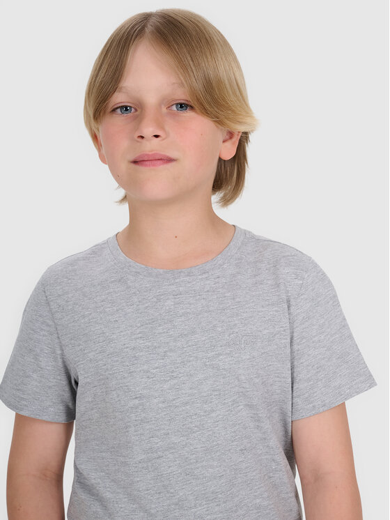 4F 4F T-Shirt BASIC+ Szary Regular Fit